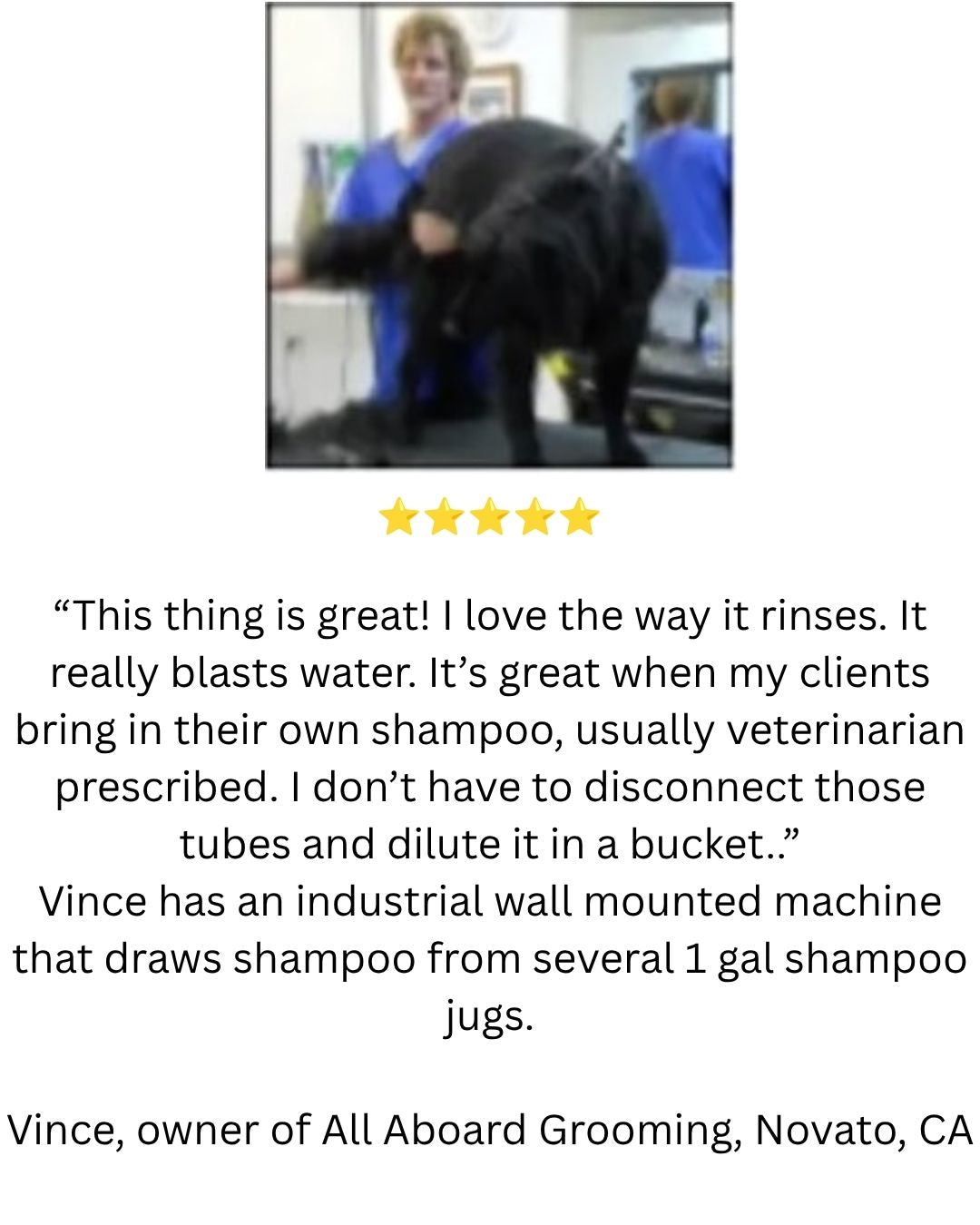 Vince the groomer